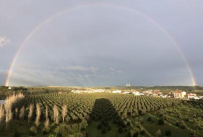 Panoramic view of field against sky