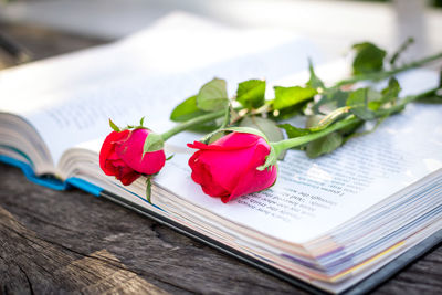 Close-up of roses on open book