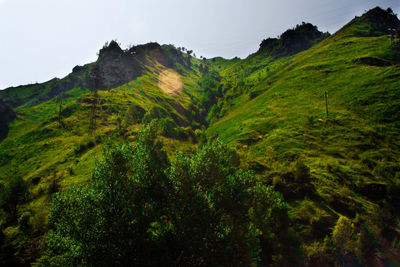 Scenic view of green landscape against sky