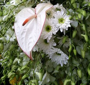 Close-up of rose bouquet