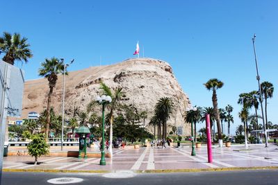 Low angle view of rock formations and palm trees against blue sky on sunny day