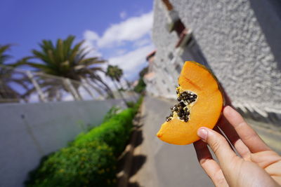 Close-up of hand holding orange