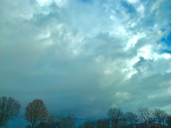 Low angle view of trees against sky