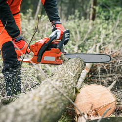 Man holding a chainsaw and cut trees. lumberjack at work. gardener working outdoor in the forest. 