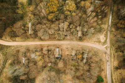 High angle view of road amidst trees in forest