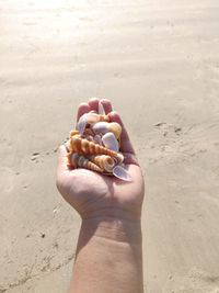 Person holding hands on sand at beach