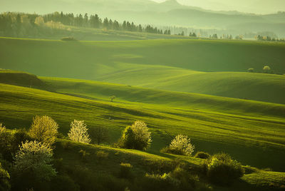 Scenic view of hilly landscape