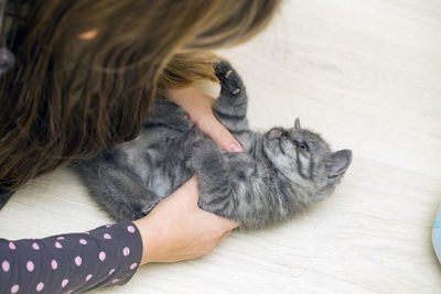 High angle view of woman sitting on hardwood floor cat playing 