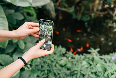 Cropped hand of woman using mobile phone