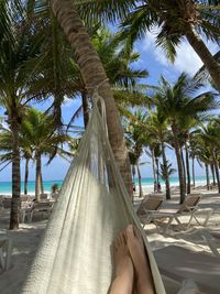 Low section of person on palm trees at beach