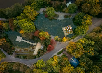 High angle view of trees by plants during autumn