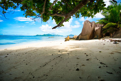 Scenic view of beach against sky