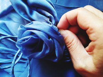 Close-up of hands holding blue flower