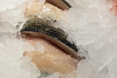 High angle view of cod fish on ice for sale at market