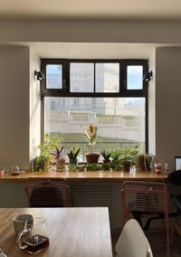 Potted plants on table at home