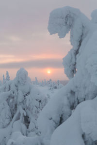Aerial view of snow covered landscape