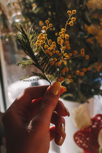 Close-up of hand holding flowers