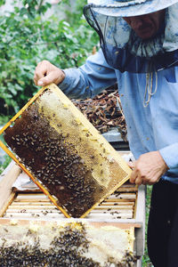 Beekeeper holding beehive