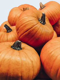 High angle view of pumpkins on market