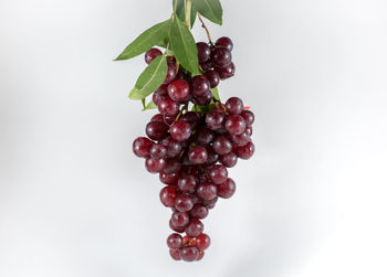 Close-up of grapes against white background