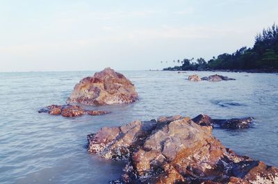 Rocks on sea shore against sky