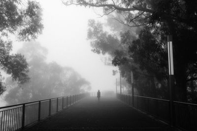 Rear view of silhouette man walking on road in foggy weather