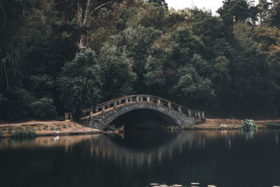 Arch bridge over river against trees