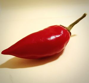 Close-up of red chili pepper on white background