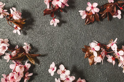 High angle view of flowering falling on leaves