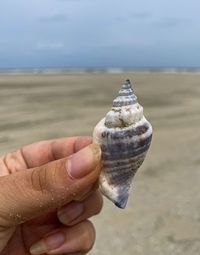 Close-up of hand holding sand