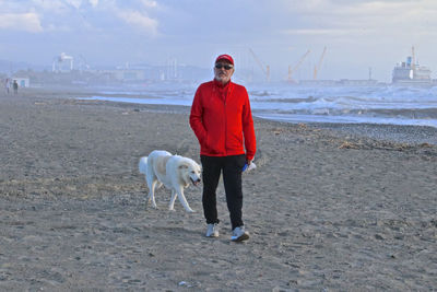 Full length portrait of a horse on beach