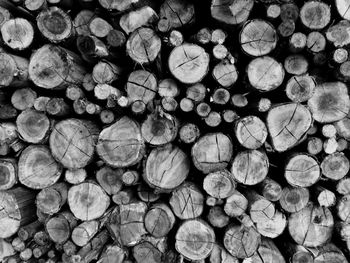 Full frame shot of logs