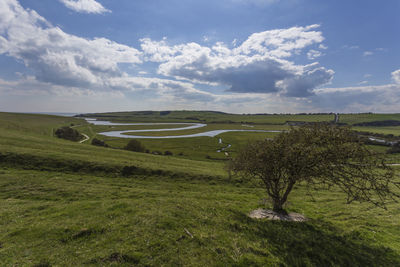 Scenic view of field against sky