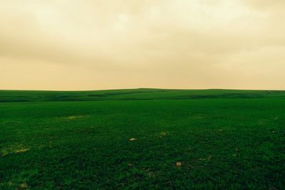 Scenic view of grassy field against cloudy sky