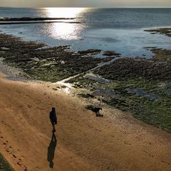 High angle view of man walking on beach