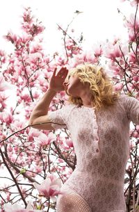 Low angle view of pink flowers blooming on tree