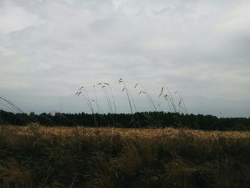 Scenic view of field against cloudy sky