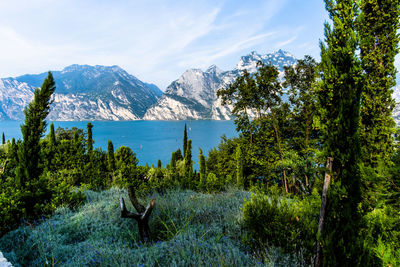 View of lake garda from the busatte tempesta trail in torbole garda trento italy