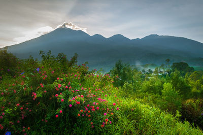 Scenic view of mountains against sky