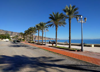 Palm trees by road against clear blue sky