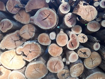 Full frame shot of logs in forest