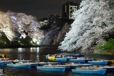 Boats in sea