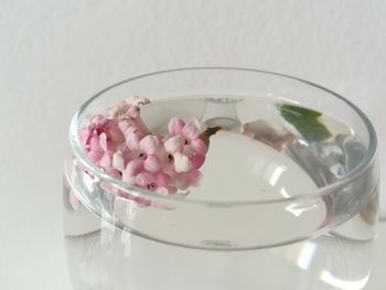 High angle view of pink flower in glass bowl on table