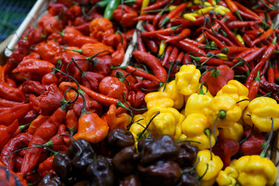 Close-up of chili peppers for sale at market stall