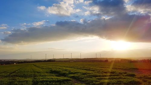 Scenic view of field against sky during sunset