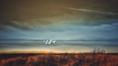 Scenic view of field against cloudy sky