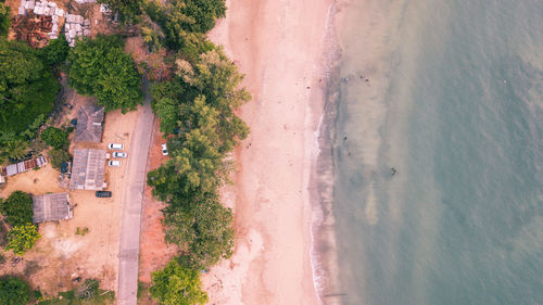 High angle view of trees at beach