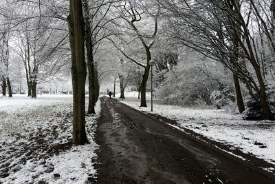 Road amidst bare trees during winter