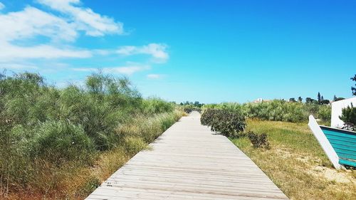 Boardwalk amidst plants against sky