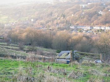 Scenic view of agricultural field